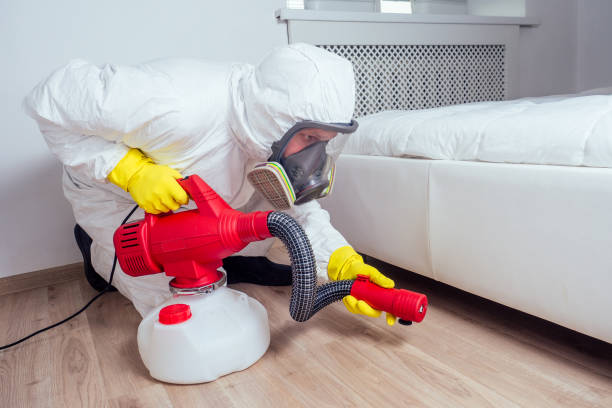 Best Bed Bug Extermination  in La Marque, TX